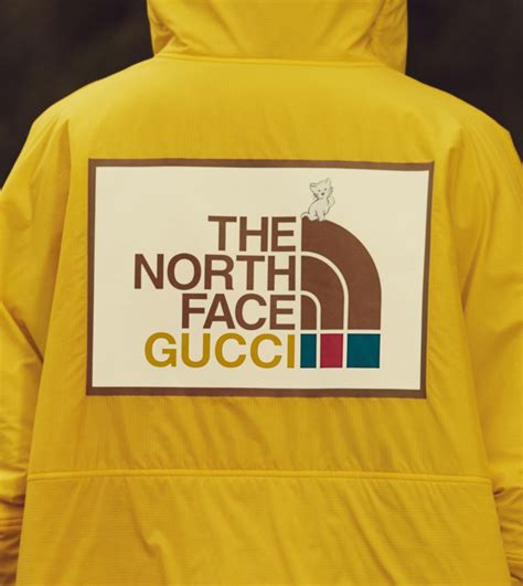 north face gucci pokestop|north face x gucci sale.